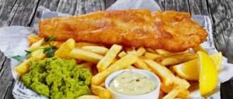 chips haqida